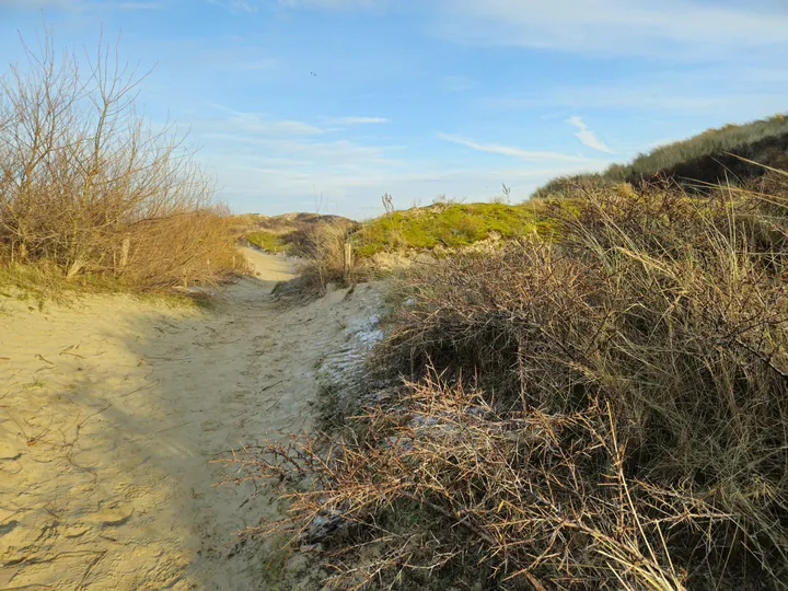 Oostnieuwkerke duinen wandeling in de koude (België)